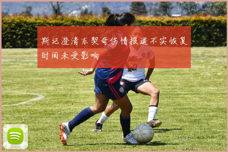 斯记澄清东契奇伤情报道不实恢复时间未受影响