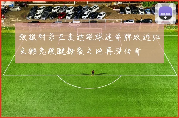致敬耐杀王麦迪逊球迷举牌欢迎归来獭兔跟腱撕裂之地再现传奇