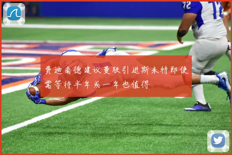 费迪南德建议曼联引进斯米特即使需等待半年或一年也值得